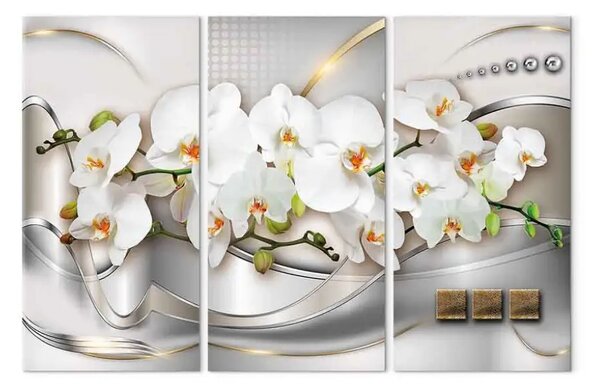 Quadro moderno Orchidee in fiore I