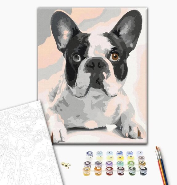 Tela da dipingere con numeri Bulldog francese