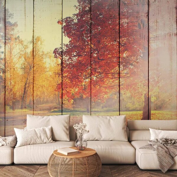 Carta da parati Sole autunnale - alberi con foglie colorate su assi di legno