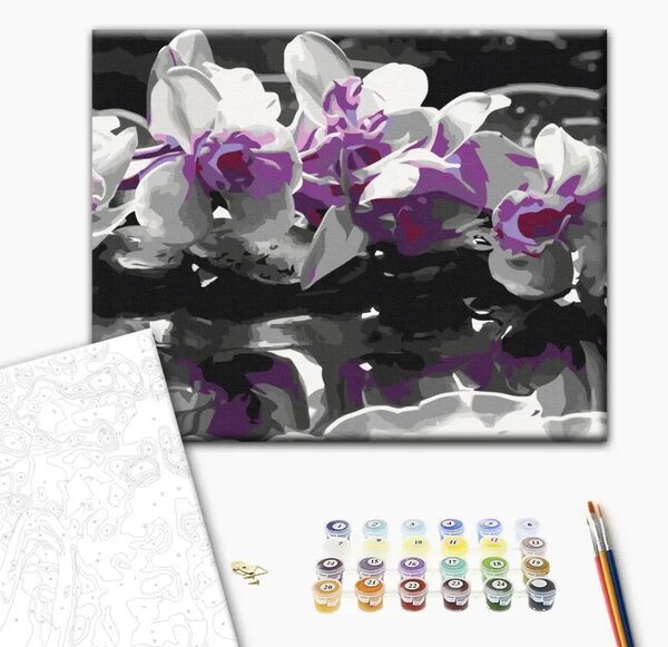 Tela da dipingere con numeri Orchidea viola (sfondo nero e riflesso nell'acqua)