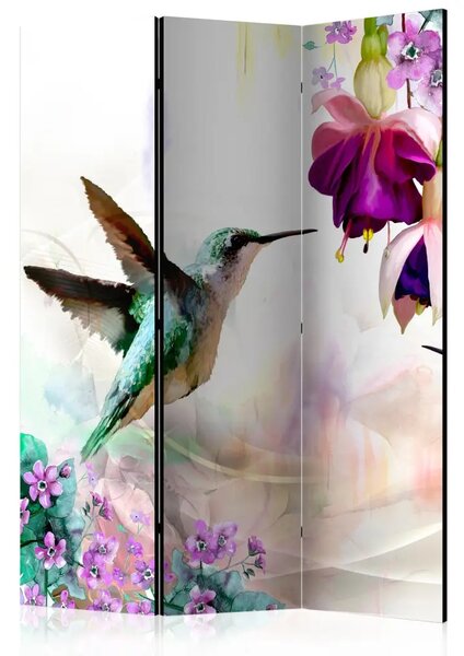 Paravento design Colibrì e Fiori - uccello e piante estive su sfondo multicolore