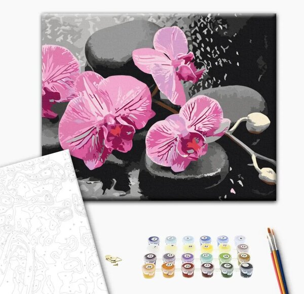 Tela da dipingere con numeri Orchidea e sassi zen (sfondo nero)