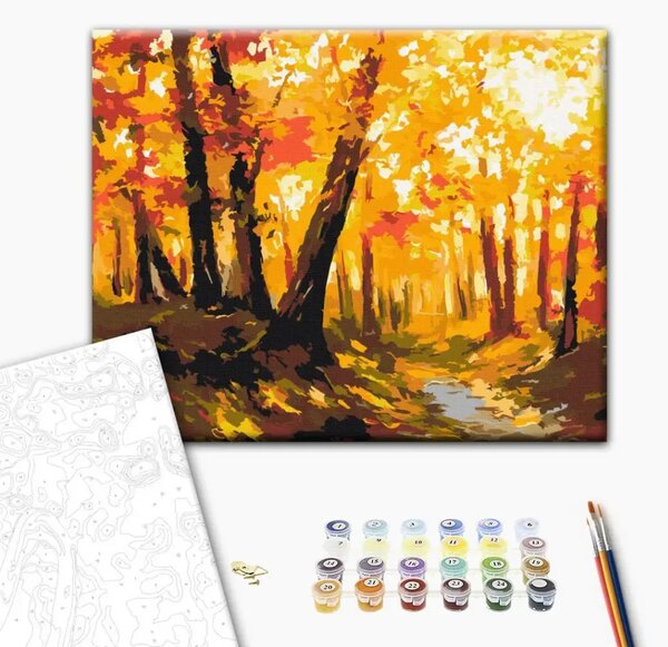 Quadro da dipingere con i numeri Sentiero della foresta