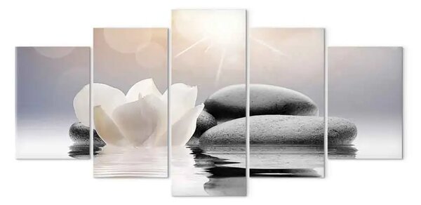 Quadro moderno Leggerezza naturale (5 pezzi)