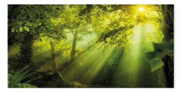 Quadro moderno Sotto il sole stretto - paesaggio favoloso bosco verde