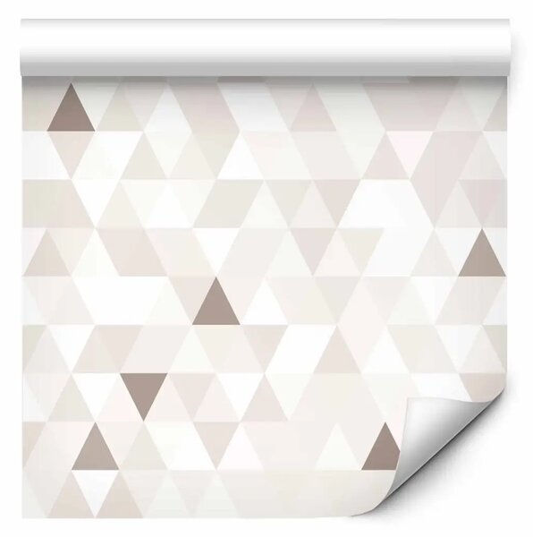 Tappezzerie Triangoli luminosi (beige)