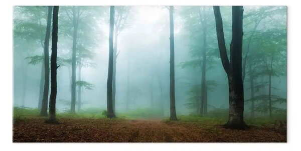 Quadro Mattina nebbiosa largo