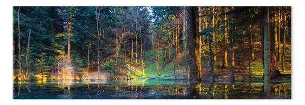 Quadro su tela Stagno nella foresta stretto