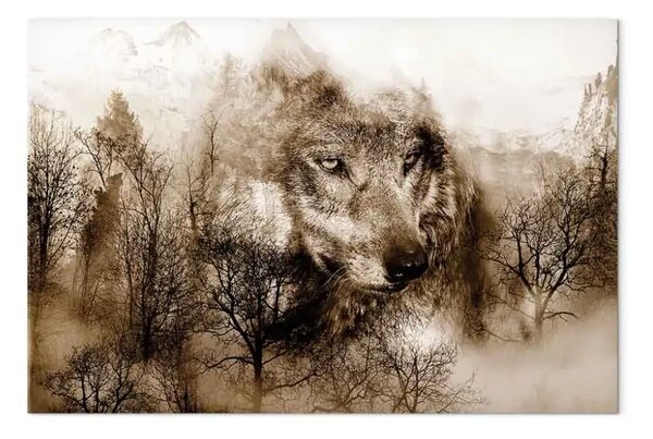 Quadro Lupo - ritratto animale su sfondo di montagna e foresta