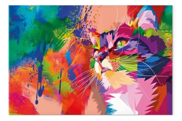 Quadro contemporaneo Gatto colorato largo