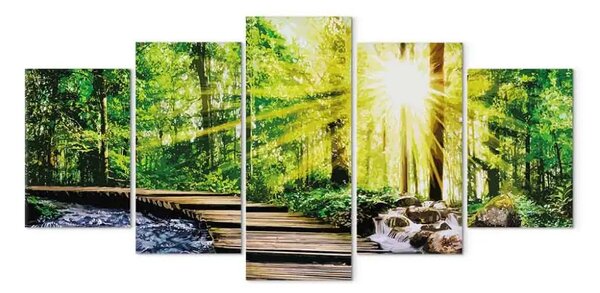 Quadro su tela Ponticello bosco (5 pezzi) largo - pittoresco paesaggio bosco verde