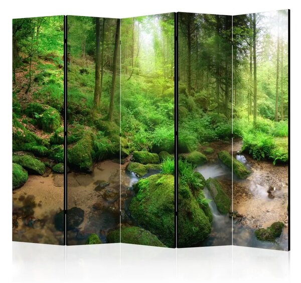 Paravento separè Foresta umida II - paesaggio verde di foresta umida con acqua e rocce