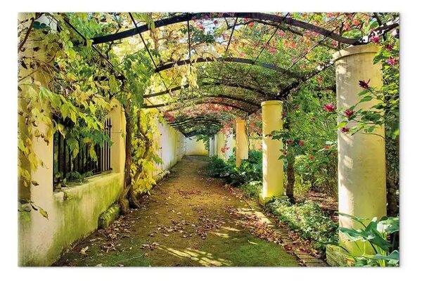 Quadro contemporaneo Pergola largo