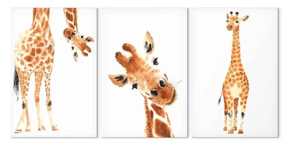 Quadro moderno Giraffe divertenti (3 pezzi)