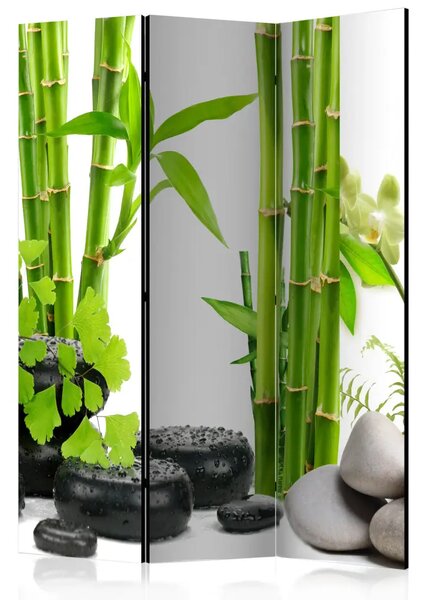 Paravento design Bambù e pietre - sassi orientali e steli di bambù in stile Zen