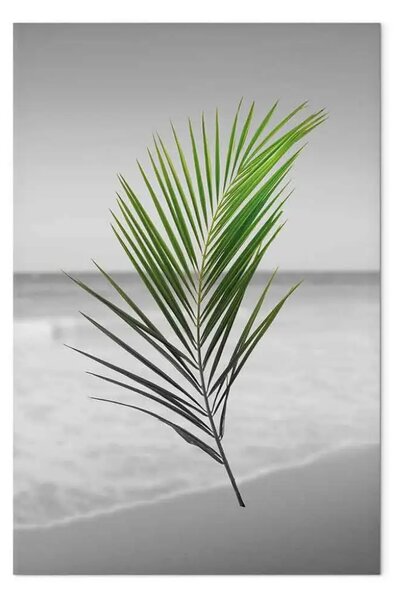 Quadro moderno Ramo di palma verde verticale