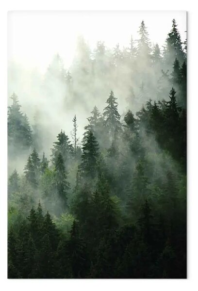 Quadro su tela Foresta di conifere verticale