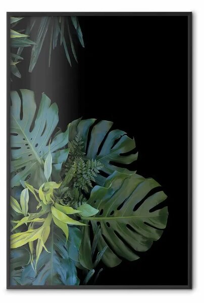 Poster: Monstera - composizione botanica in foglie tropicali su sfondo nero