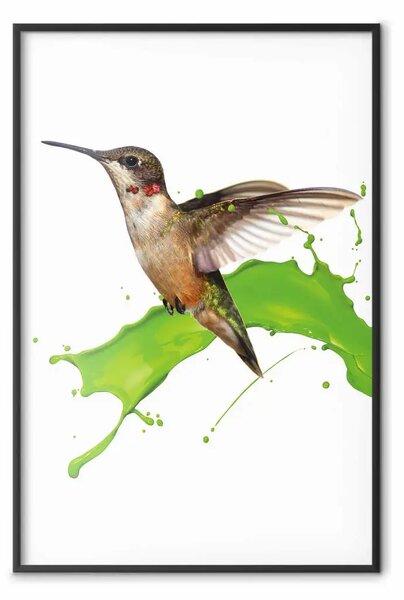 Poster: Colibrì in volo - uccello marrone e vernice versata in verde