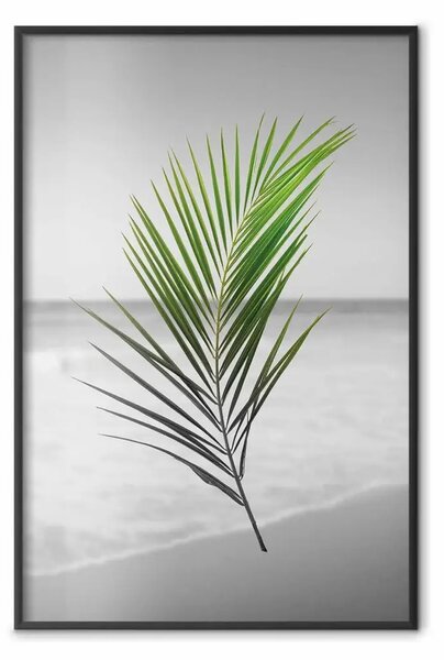 Poster: Ramo di palma verde - pianta tropicale e mare