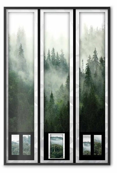 Poster: Carte di ricordi - fitta foresta nella nebbia in diversi quadri