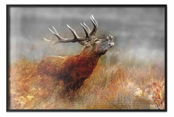Poster: Cervo ruggente - autunno campestre