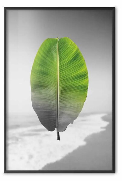 Poster: Foglia di banano - pianta tropicale verde su paesaggio grigio