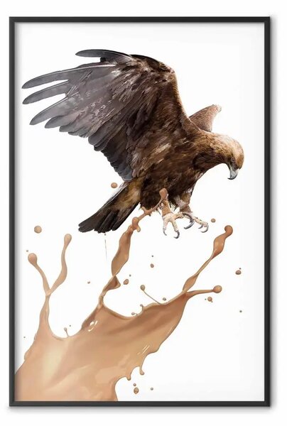 Poster: Aquila - uccello predatore e vernice marrone su sfondo uniforme