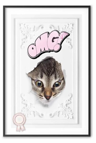 Poster: OMG! - gatto e scritta in inglese su sfondo bianco