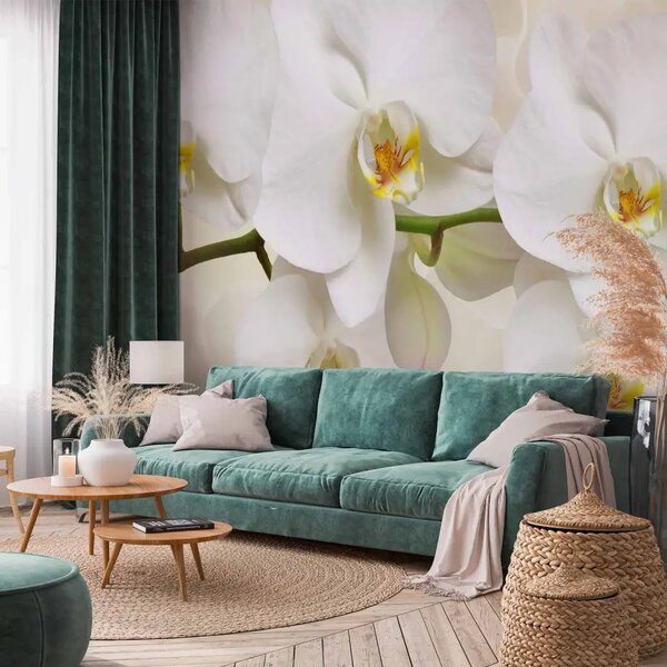 Carta da parati Rametto di orchidea - Composizione delicata con fiori bianchi