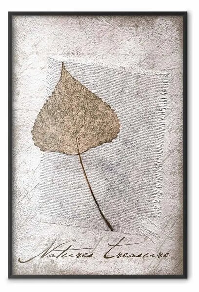 Poster: Tesori della natura - composizione vintage con foglie