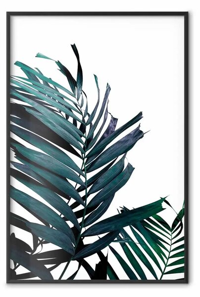 Poster: Foglie di smeraldo - sfondo bianco e palma tropicale verde