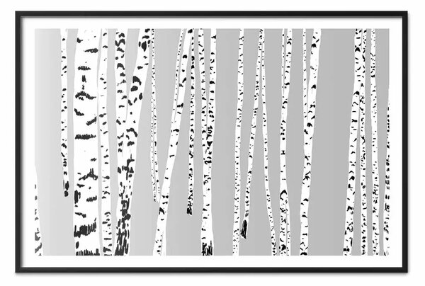 Poster: Betulle: una composizione di alberi bianchi e neri su sfondo grigio