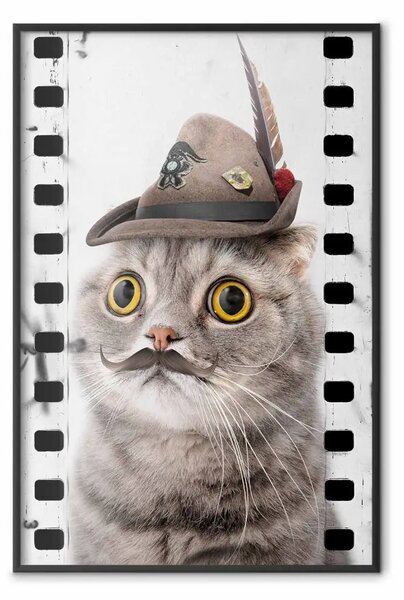 Poster: Il gatto con il cappello - animale dagli occhi gialli e baffi