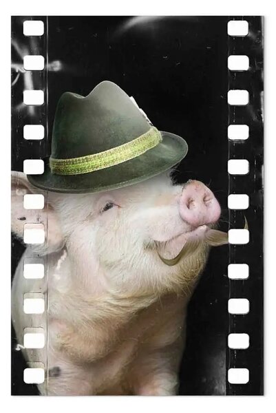 Quadro moderno Storia cinematografica - fantasia animale nell'obiettivo