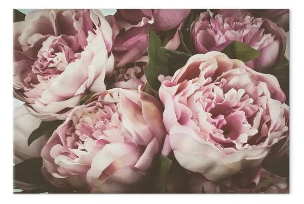 Quadro su tela Mazzo di fiori dai toni pastello - peonie in tonalità rosa