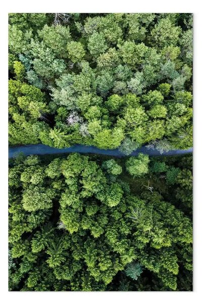 Quadro contemporaneo Strada attraverso la foresta verticale