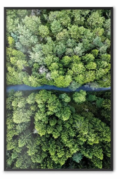 Poster: Una strada attraverso la foresta: vista a volo d'uccello