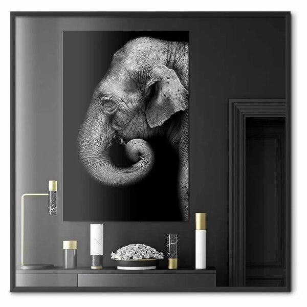 Poster: Ritratto di elefante - animale africano in bianco e nero