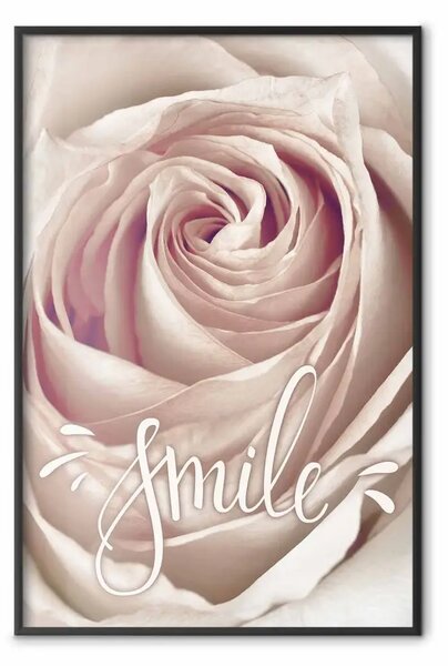 Poster: Sorriso! - fiore rosa chiaro e scritta bianca in inglese