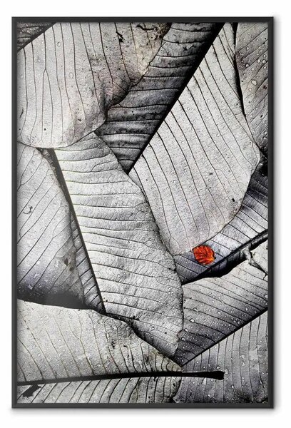 Poster: Foglie bianche e nere: foglia rossa in grigio