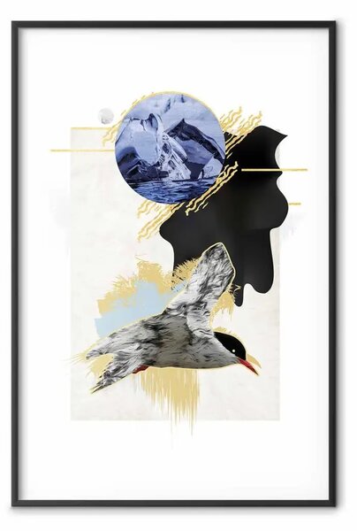 Poster: Sterna antartica - astrazione con uccello invernale