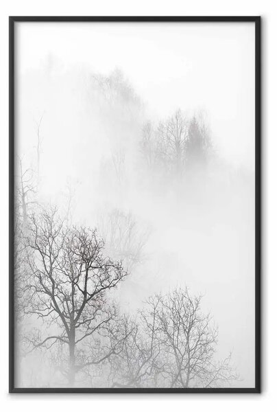 Poster: Alberi nella nebbia