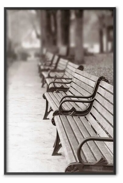 Poster: Panchine del parco: autunno nel giardino pedonale