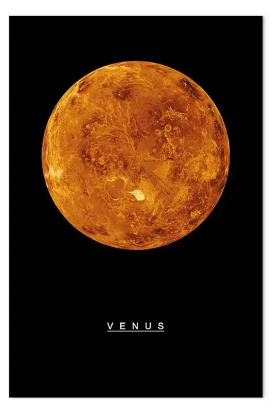 Quadro contemporaneo Venere verticale