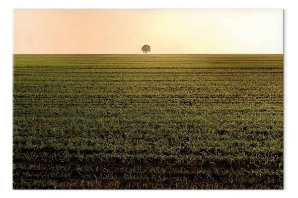 Quadro L'infinità dei campi - albero al mattino, paesaggio autunnale minimal