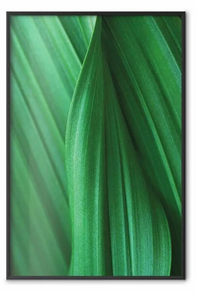 Poster: Trama foglia - composizione con motivo vegetale verde