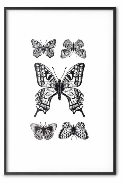 Poster: Cinque farfalle - composizione bianco e nero