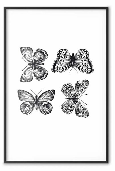 Poster: Quattro farfalle: composizione bianco e nero