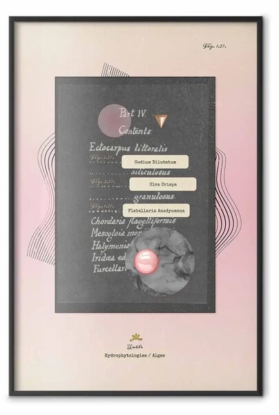 Poster: Composizione - collage astratto con iscrizioni